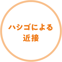 ハシゴによる近接