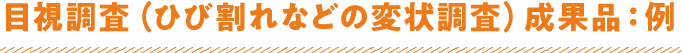 目視調査（ひび割れなどの変状調査）成果品：例