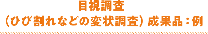 目視調査（ひび割れなどの変状調査）成果品：例